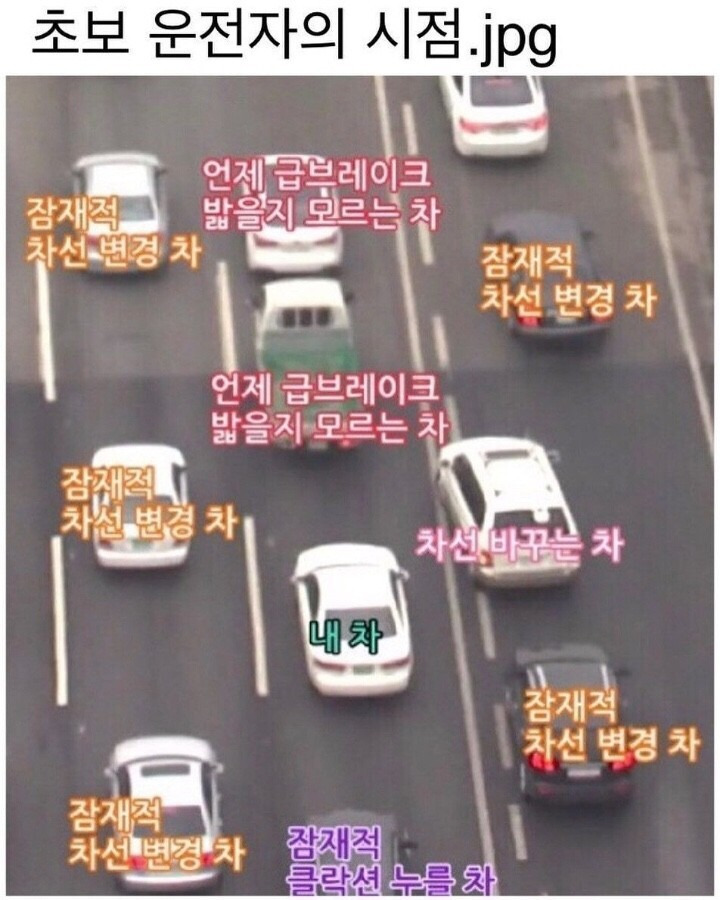 초보운전의 시점타 게임 때문에 강제 은퇴 당한 이리 프로게이머 최근 근황 | 인스티즈