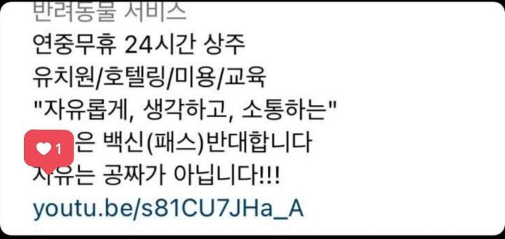 역백신패스 강아지유치원 | 인스티즈