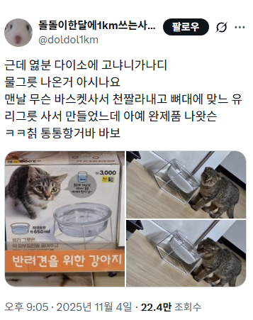 다이소에 고양이, 강아지 물그릇 나온거 알고 계시나요.... | 인스티즈
