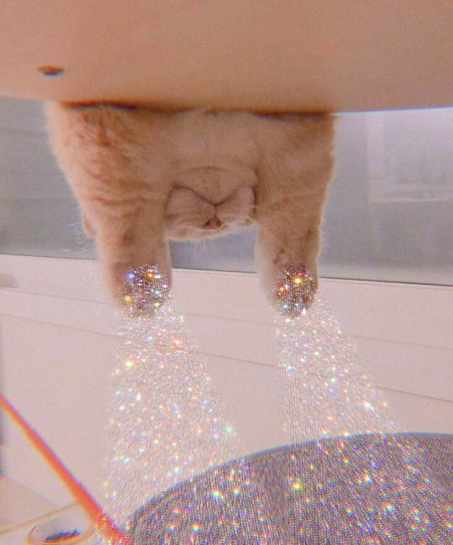 생각보다 혜택이나 이벤트가 많은 헌혈의 집(매월 13일은 헌혈의 날) | 인스티즈