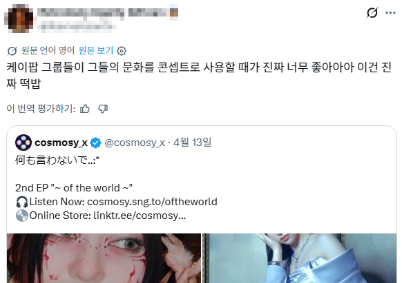 외국에선 반응 좋은데 한국에선 반응 별로인 아이돌 컨셉...jpg | 인스티즈