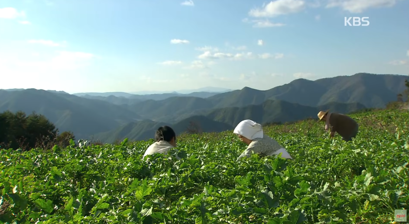 낭만 돌아버린 2005년 드라마 | 인스티즈