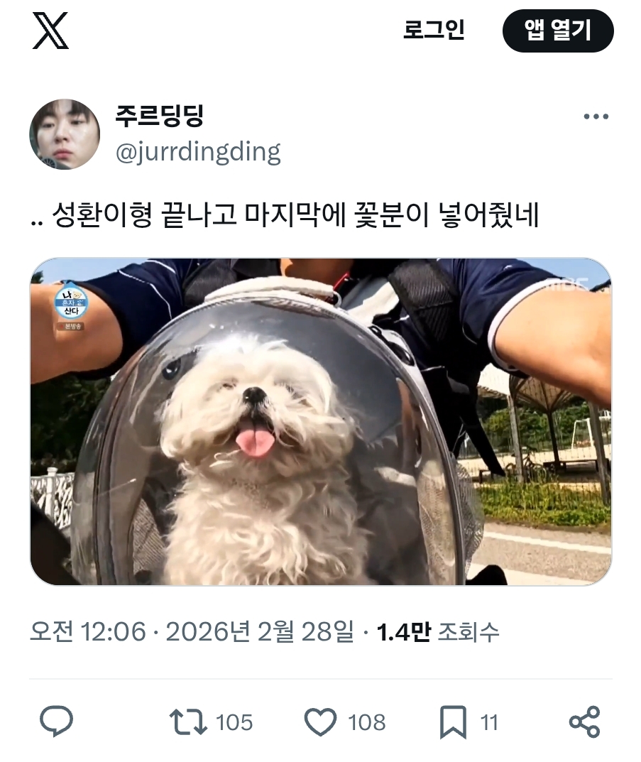 나혼산에 나온 꽃분이 추모 영상 | 인스티즈