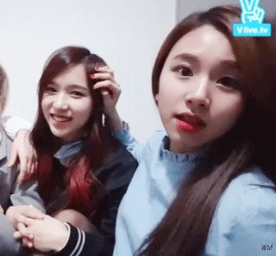 [트와이스] 트와이스 내에 존재한다는 챙사모(채영이를 사랑하는 모임) 회원들 | 인스티즈