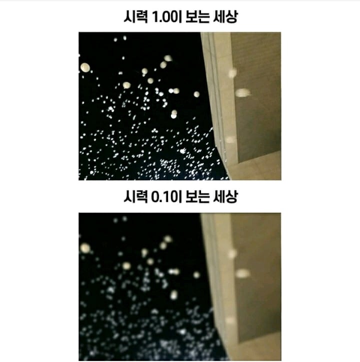 시력 1.0과 0.1의 차이 | 인스티즈