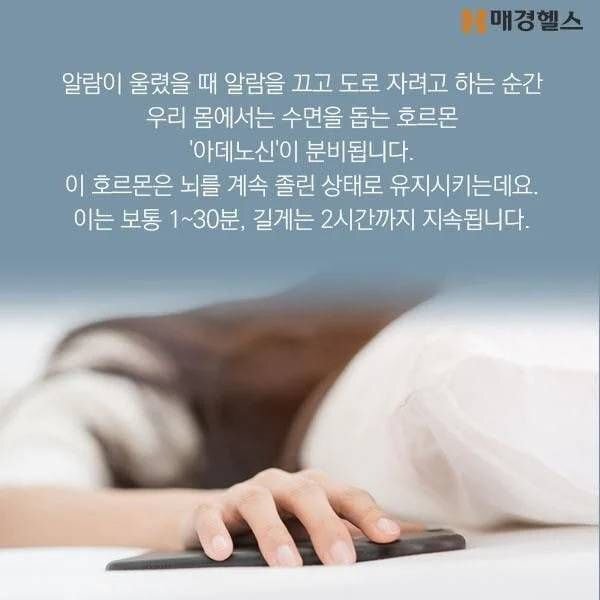 5분 간격 모닝콜이 안좋은 이유 | 인스티즈