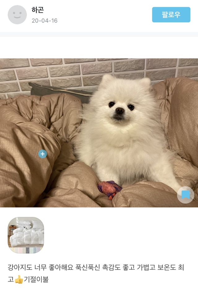 내가 오늘의집 어플 사용하는 이유 | 인스티즈