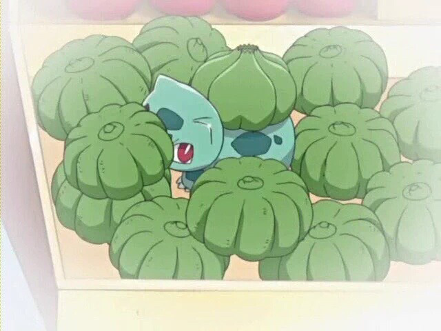 이상해씨 짤 대방출 | 인스티즈