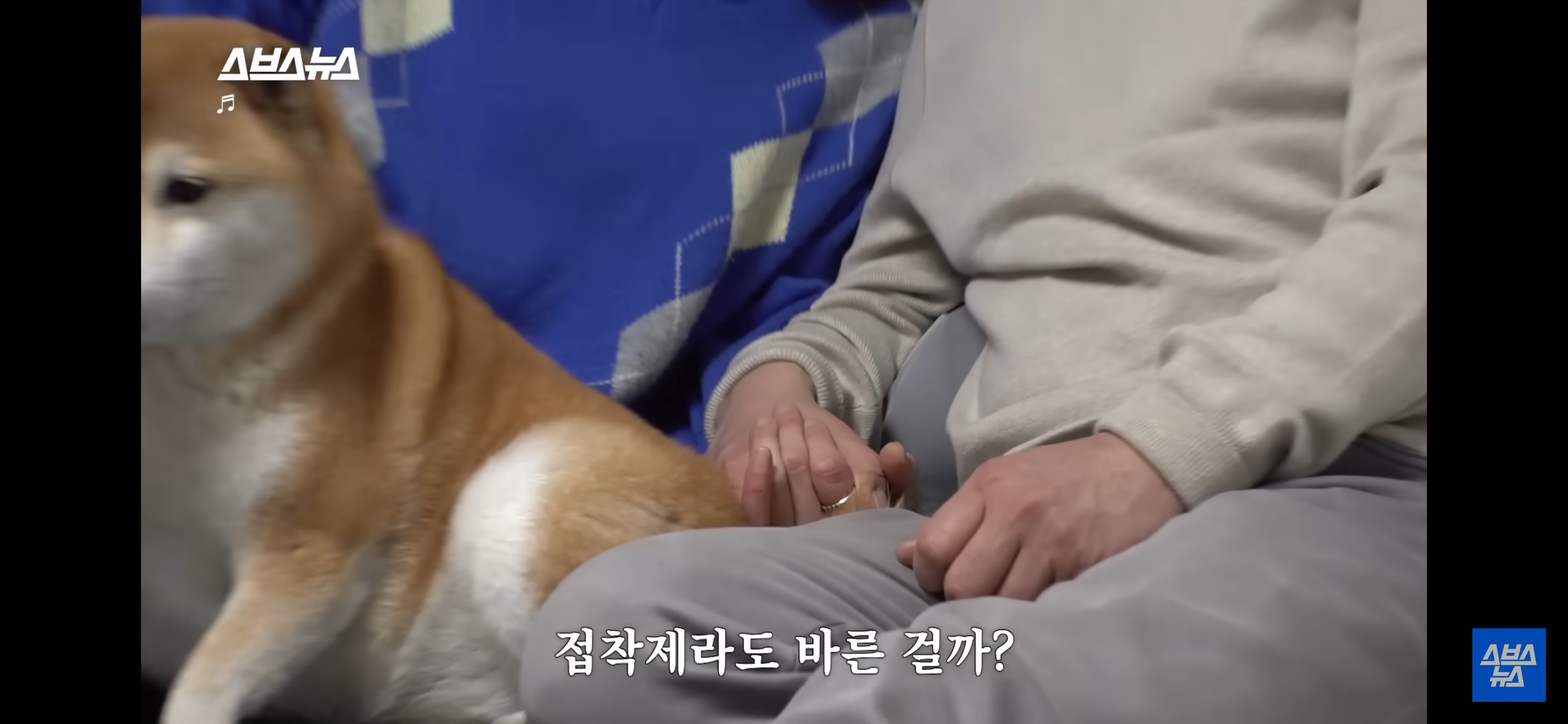 이혼숙려캠프 본 뒤에 이거 꼭 봐야함 ㅠㅠ | 인스티즈