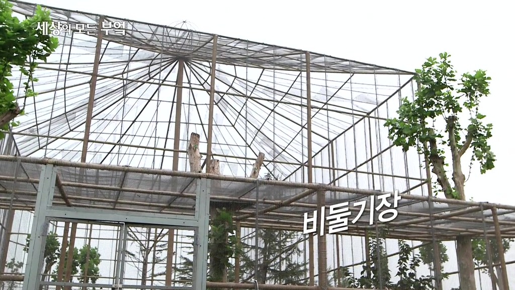 흔한 중국부자의 밥먹는 스케일.jpg | 인스티즈