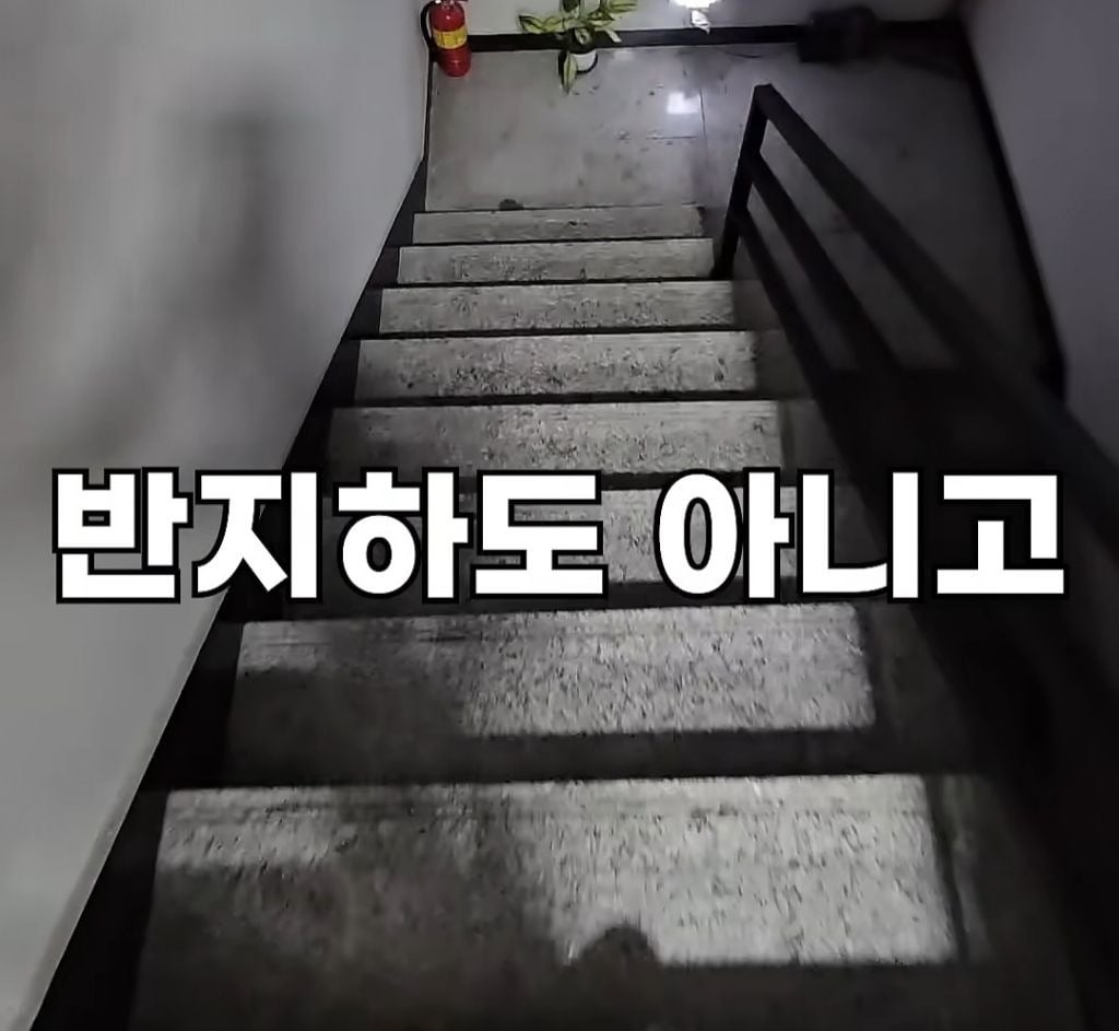 서울 2000/78 인덕션, 냉장고, 침대 옵션 복층 원룸 | 인스티즈