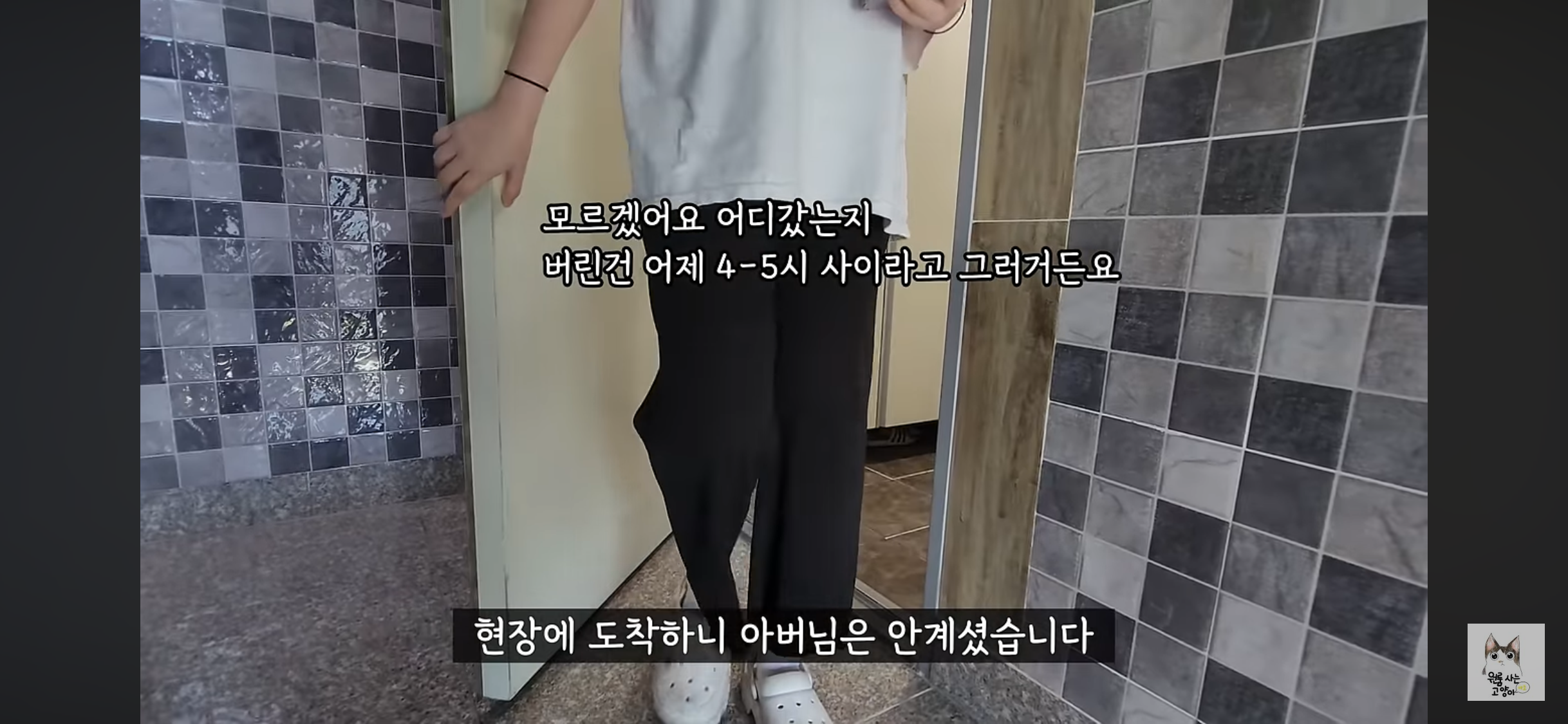 가족들 몰래 고양이를 버리고 온 아빠 (고양이 유기 장면 주의) | 인스티즈