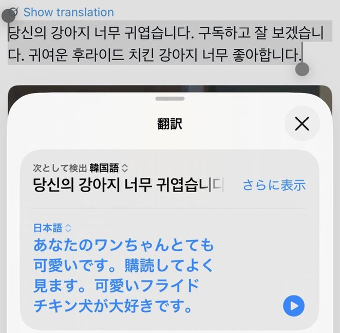한국인의 말의 센스가 좋다는 일본 트위터리안들 | 인스티즈