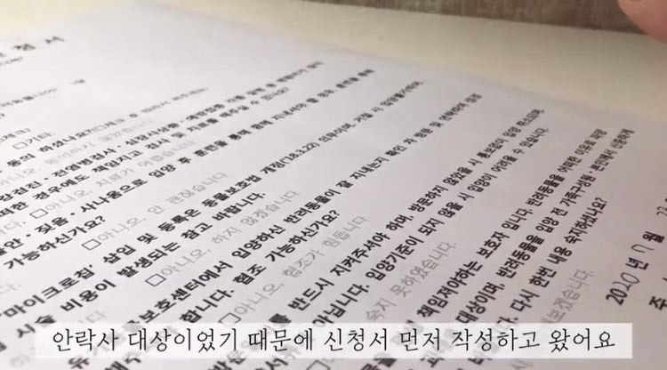 포인핸드 유기견 입양❤ 입양 전후 변화 좀 보세요.jpg | 인스티즈