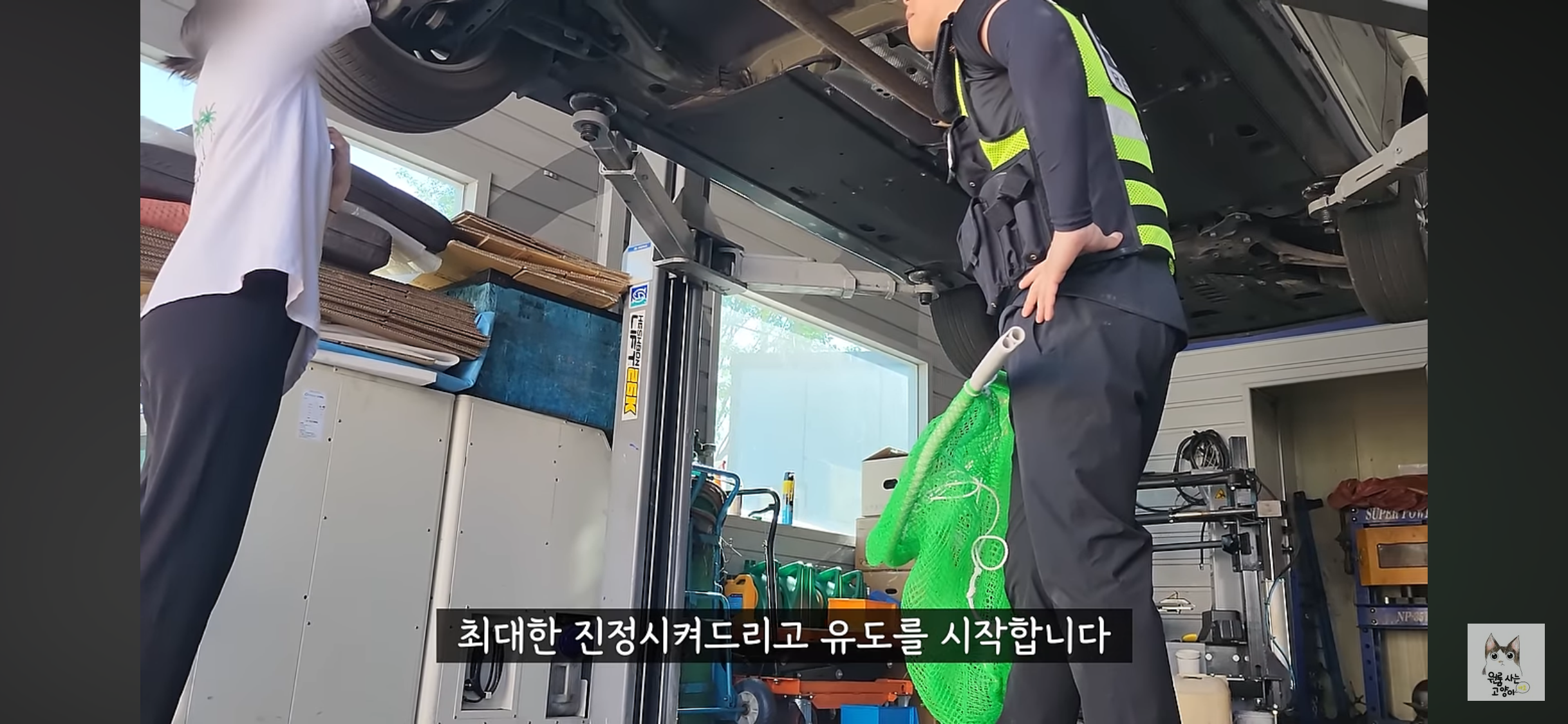 가족들 몰래 고양이를 버리고 온 아빠 (고양이 유기 장면 주의) | 인스티즈