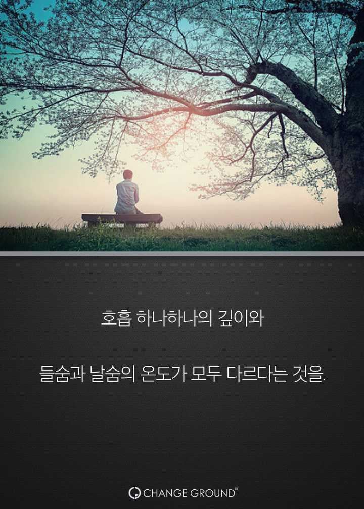 스티브잡스가 열광한 최고의 휴식법 | 인스티즈