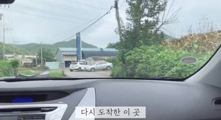 포인핸드 유기견 입양❤ 입양 전후 변화 좀 보세요.jpg | 인스티즈