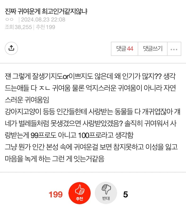진짜 귀여운게 최고인거같지않냐 | 인스티즈