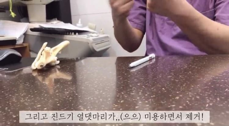 포인핸드 유기견 입양❤ 입양 전후 변화 좀 보세요.jpg | 인스티즈