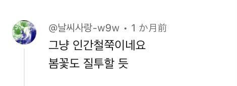 한국인의 말의 센스가 좋다는 일본 트위터리안들 | 인스티즈