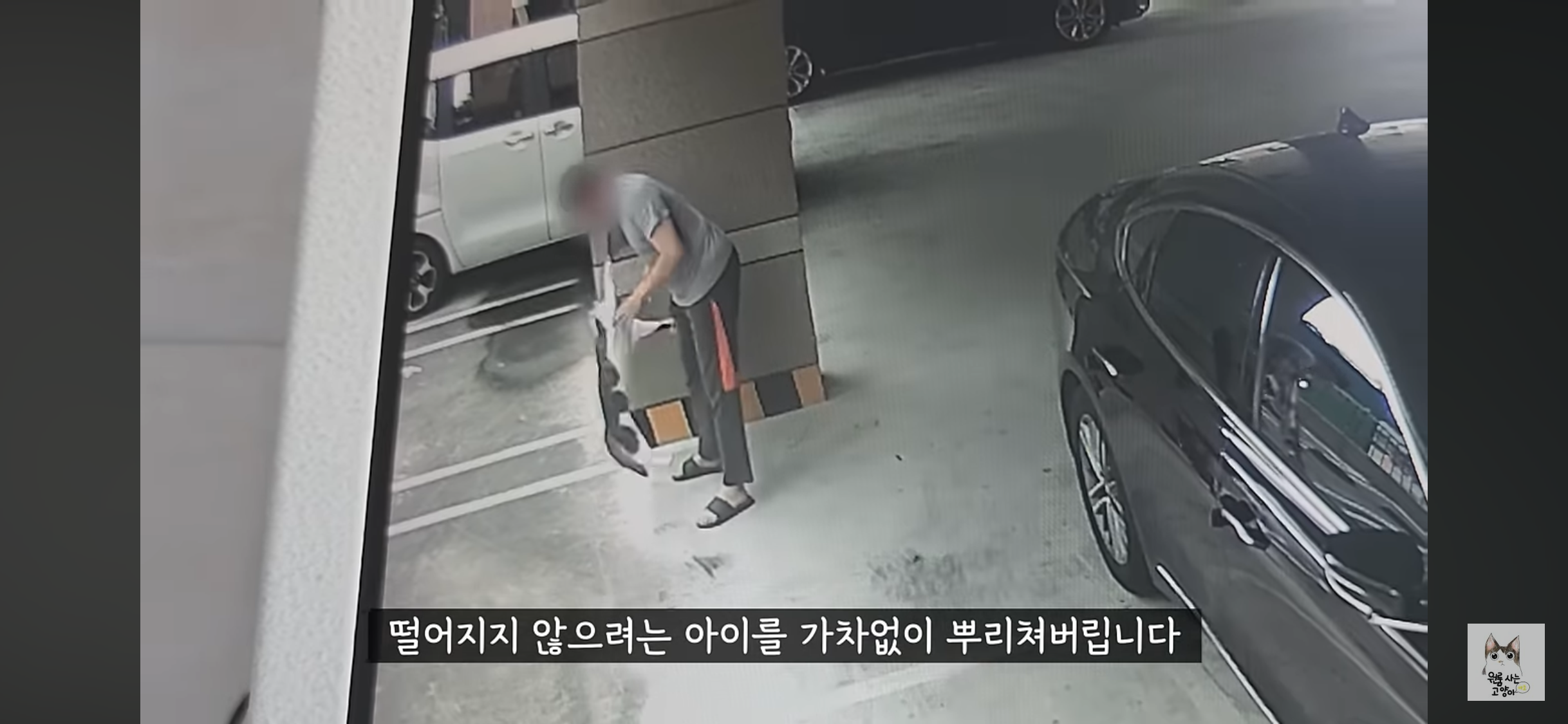 가족들 몰래 고양이를 버리고 온 아빠 (고양이 유기 장면 주의) | 인스티즈
