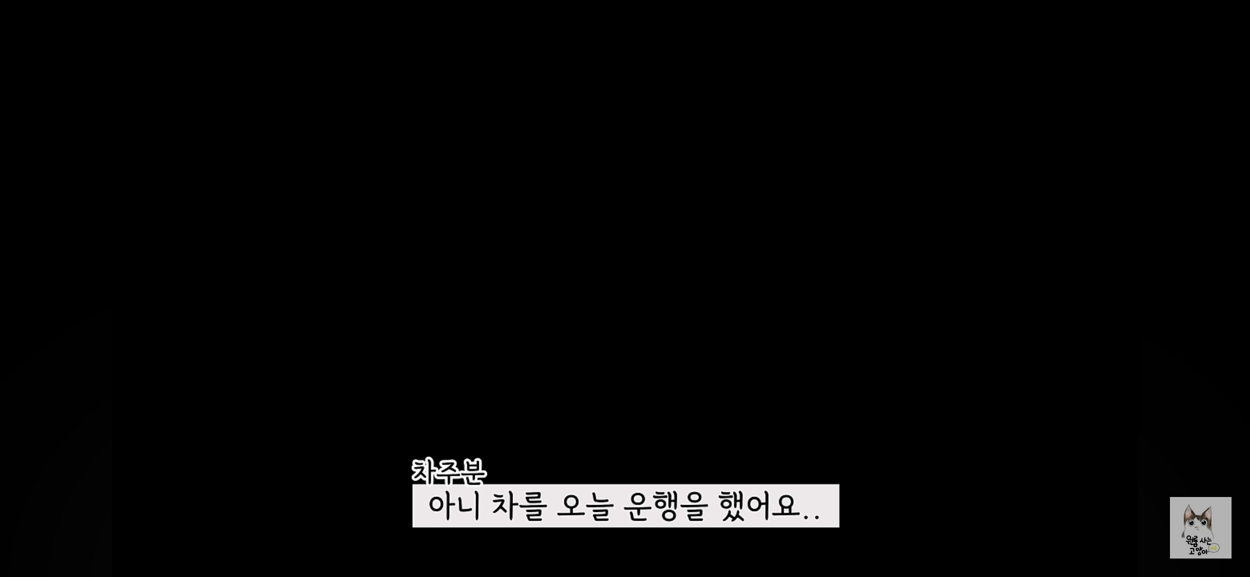 가족들 몰래 고양이를 버리고 온 아빠 (고양이 유기 장면 주의) | 인스티즈