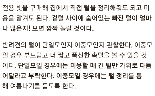 여름철 강아지한테 흔히들 시키는데 사실 시키면 안되는 것.. | 인스티즈