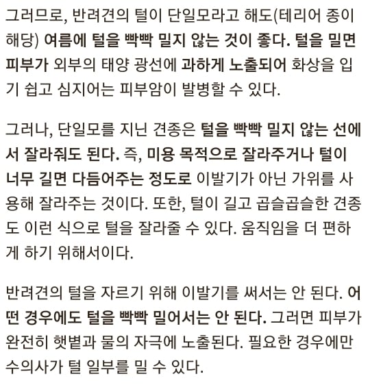 여름철 강아지한테 흔히들 시키는데 사실 시키면 안되는 것.. | 인스티즈