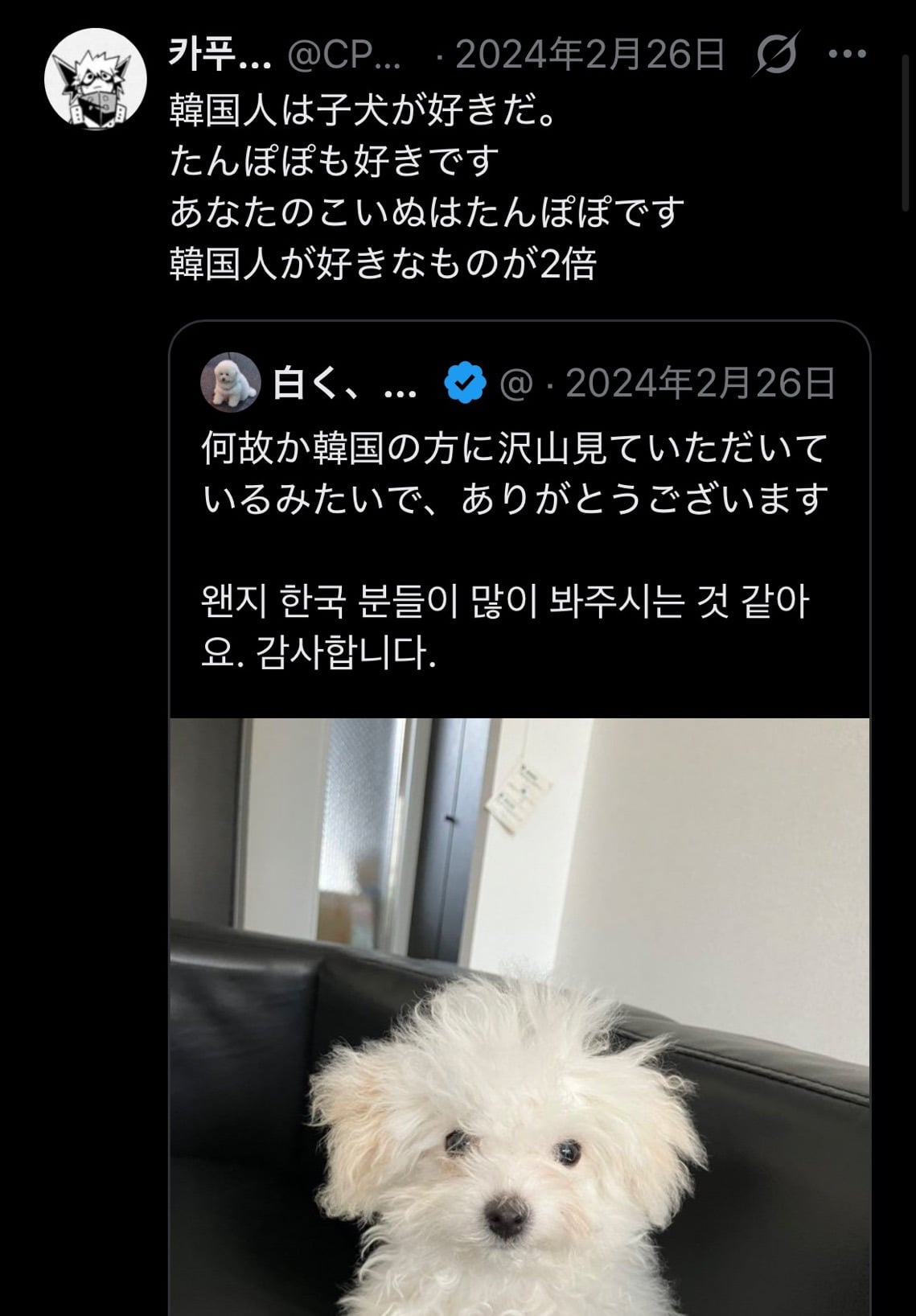 한국인의 말의 센스가 좋다는 일본 트위터리안들 | 인스티즈