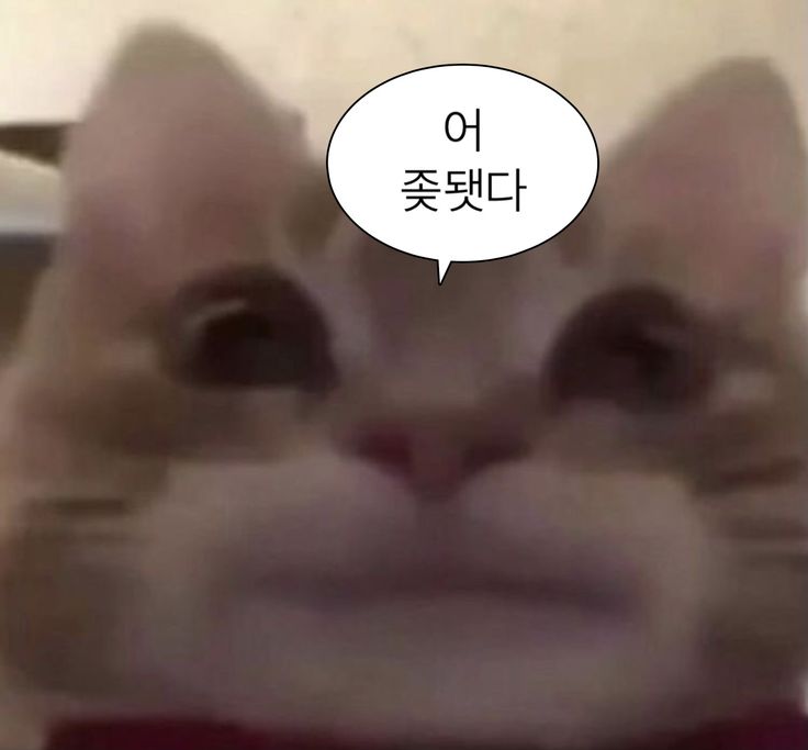 알고보면 진짜 끔찍하다는 게임속 대사 | 인스티즈