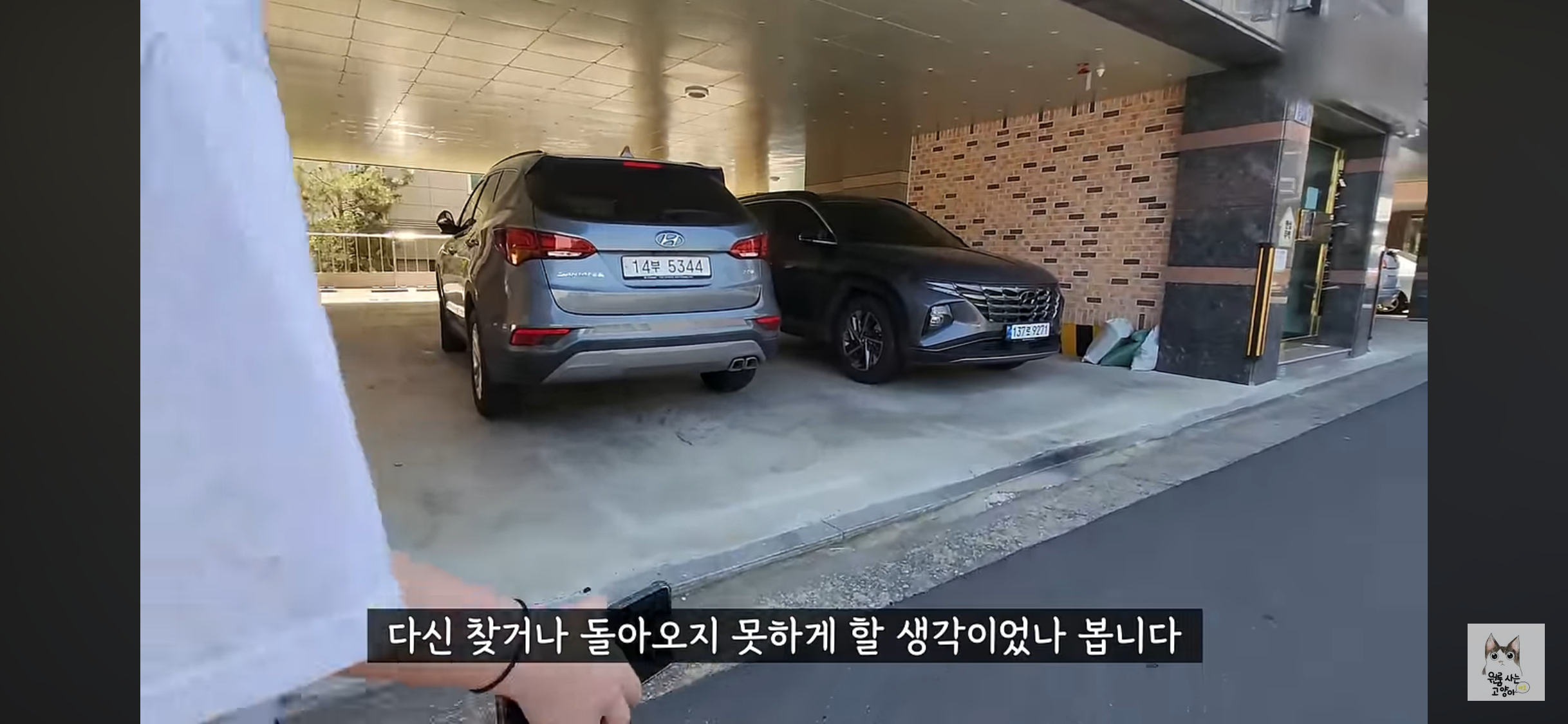가족들 몰래 고양이를 버리고 온 아빠 (고양이 유기 장면 주의) | 인스티즈