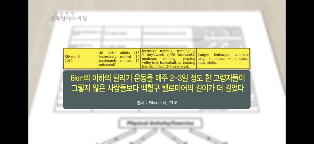 달리기 런닝 이거 완전 만병통치약임 | 인스티즈