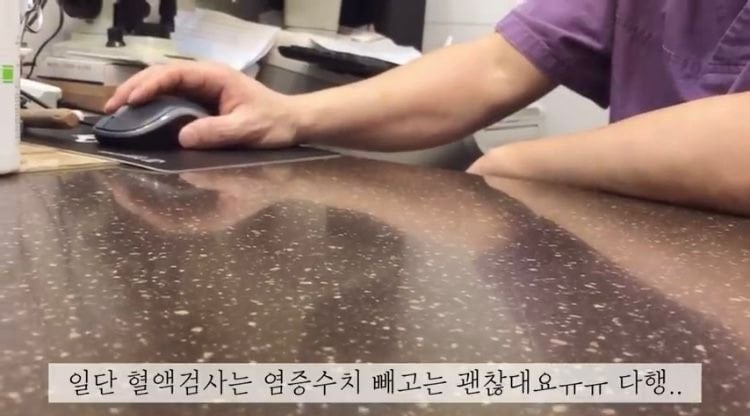 포인핸드 유기견 입양❤ 입양 전후 변화 좀 보세요.jpg | 인스티즈