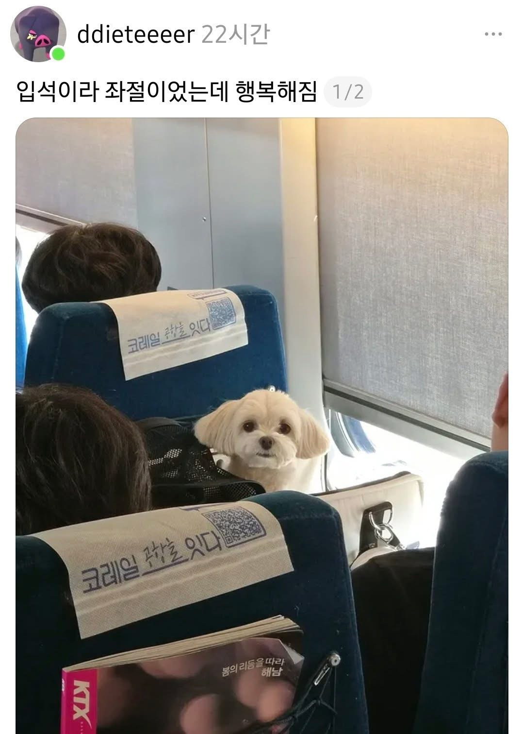 입석인데도 기분이 좋아졌다.jpg | 인스티즈