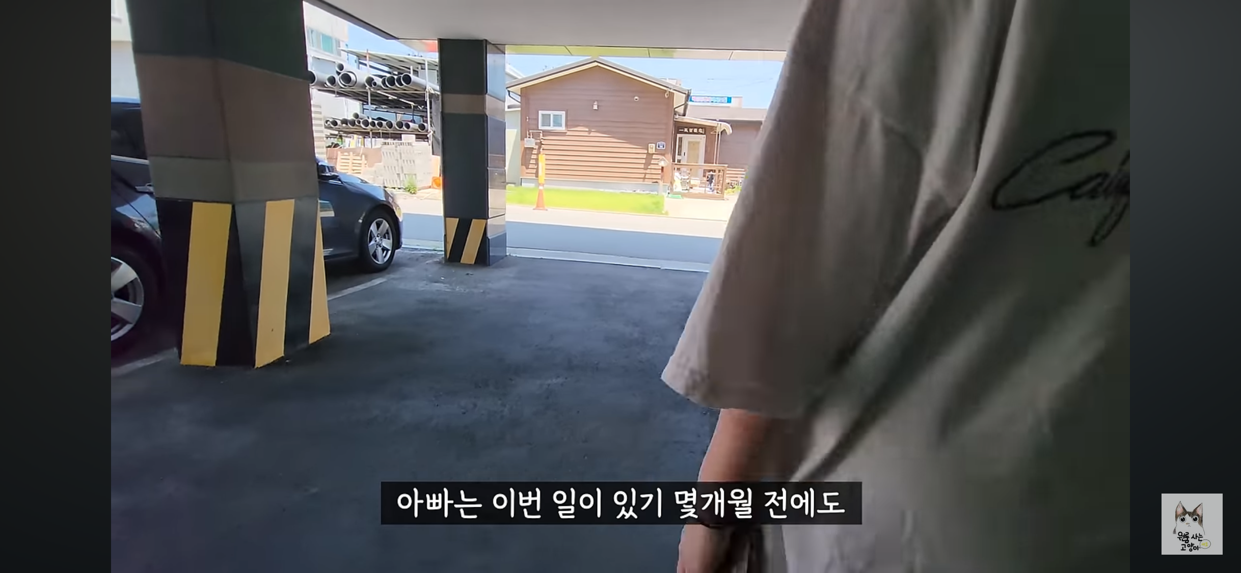 가족들 몰래 고양이를 버리고 온 아빠 (고양이 유기 장면 주의) | 인스티즈