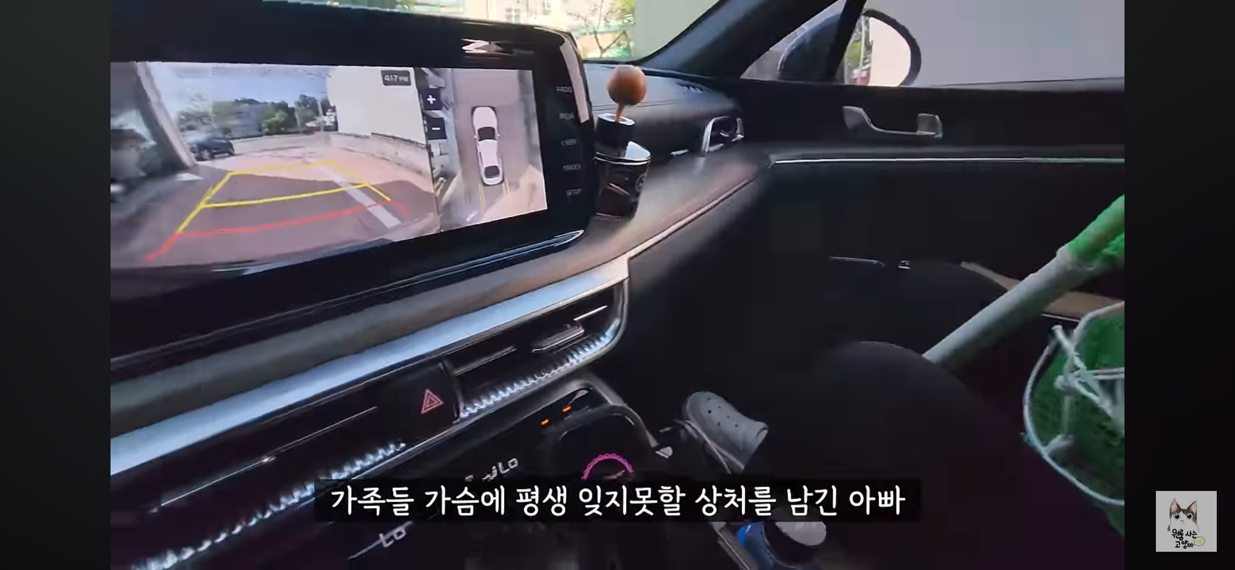 가족들 몰래 고양이를 버리고 온 아빠 (고양이 유기 장면 주의) | 인스티즈