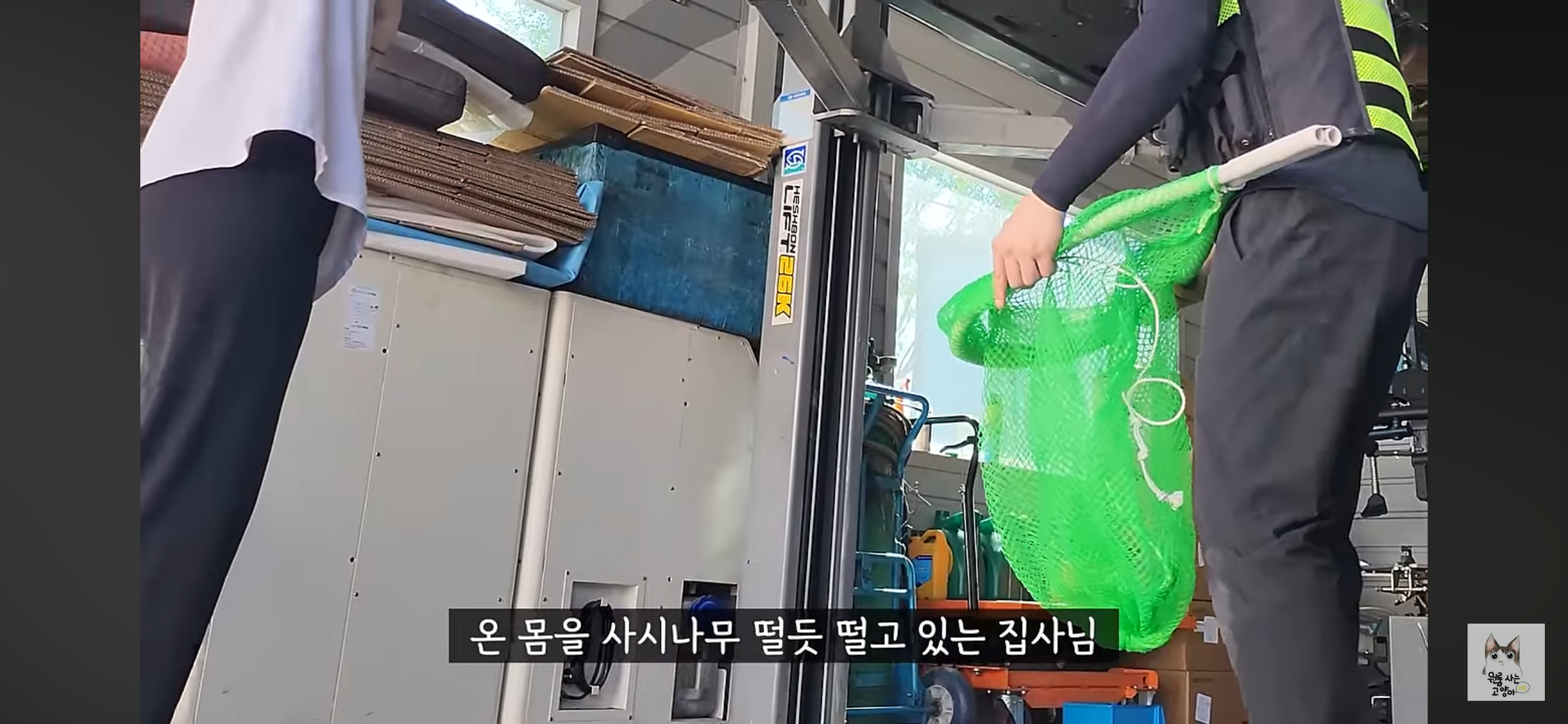 가족들 몰래 고양이를 버리고 온 아빠 (고양이 유기 장면 주의) | 인스티즈