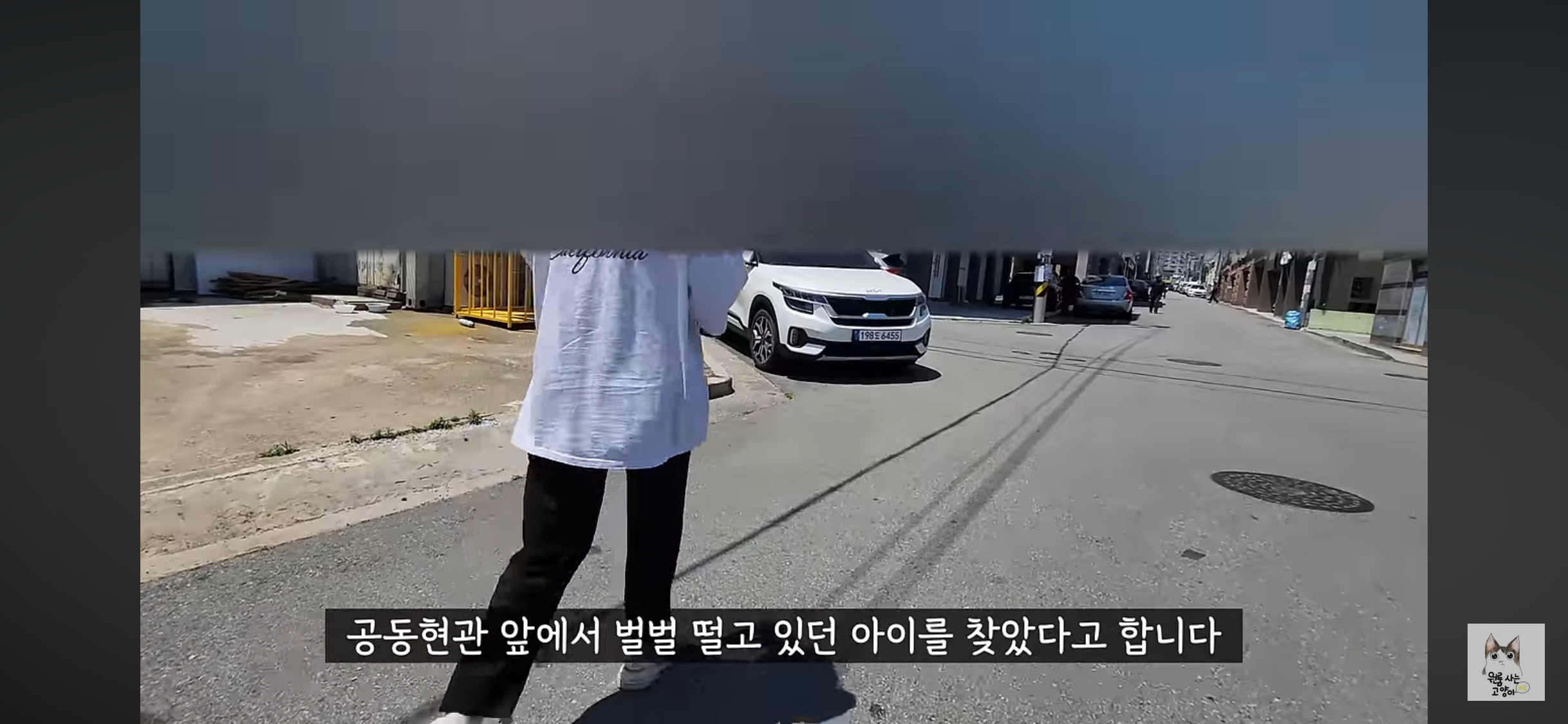 가족들 몰래 고양이를 버리고 온 아빠 (고양이 유기 장면 주의) | 인스티즈