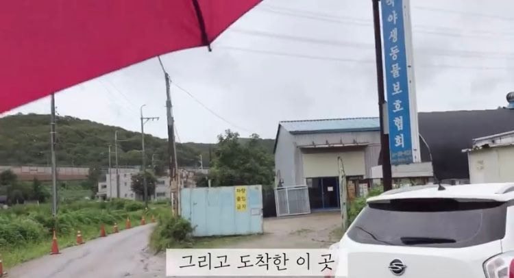 포인핸드 유기견 입양❤ 입양 전후 변화 좀 보세요.jpg | 인스티즈