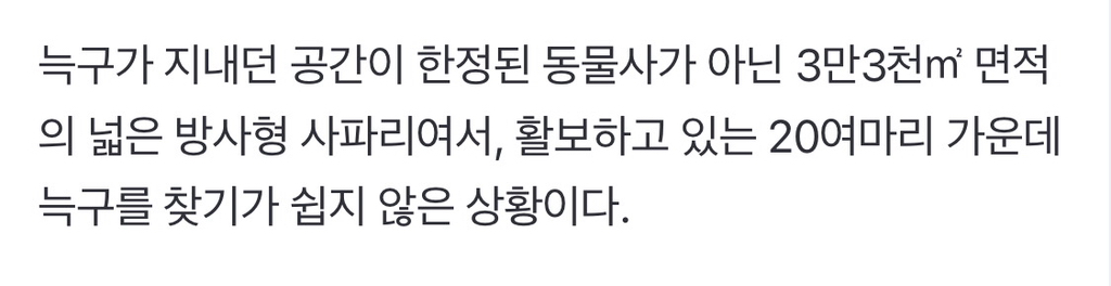 늑구 집 정말 넓음 | 인스티즈