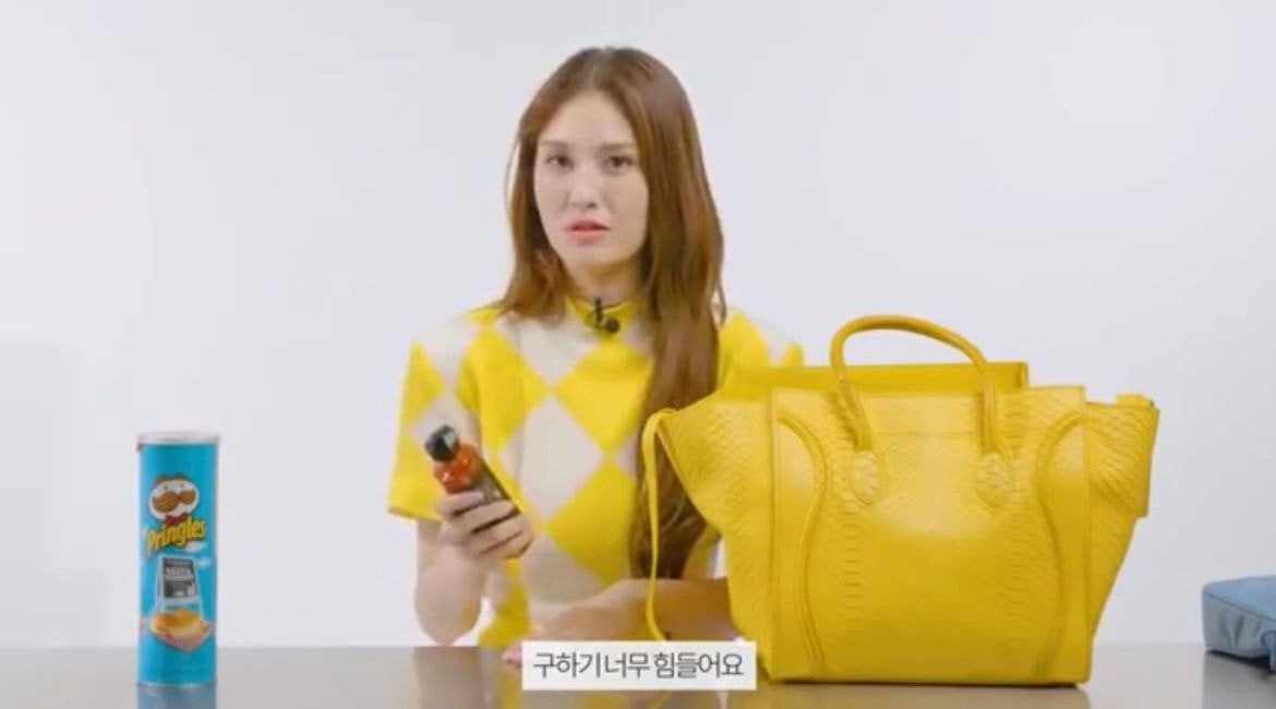 연예인 인마이백 속 간식 모음 | 인스티즈