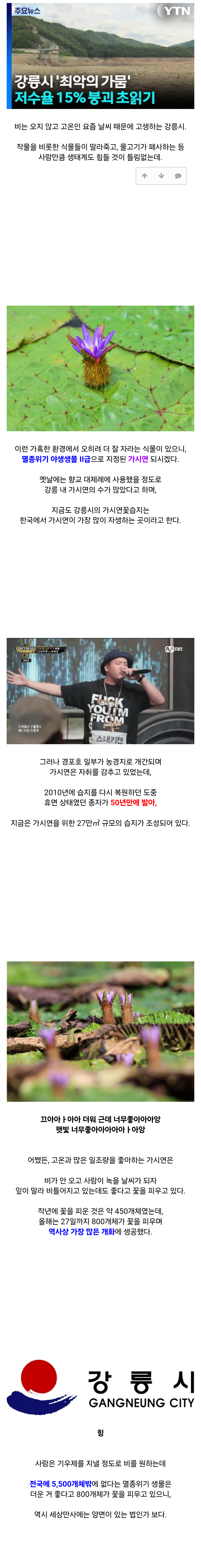 강릉 가뭄으로 신난 멸종위기종 | 인스티즈