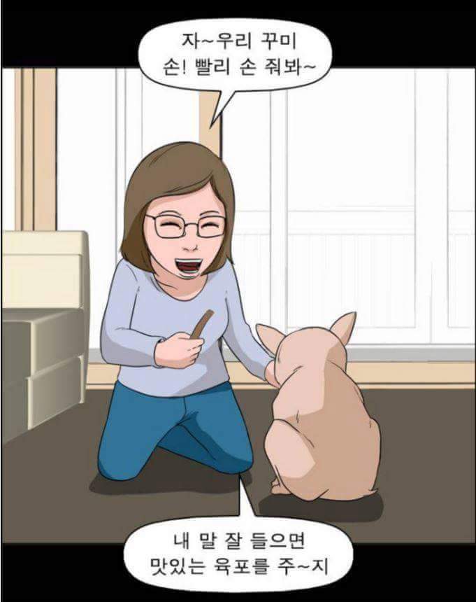동물들이 말을 할 수 있다면 일어나는 일 | 인스티즈