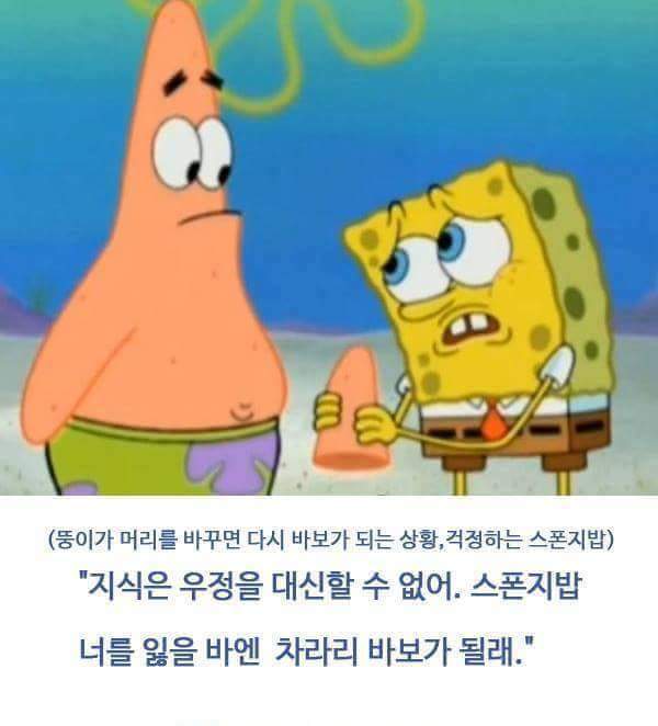 스폰지밥 과 뚱이의우정 | 인스티즈