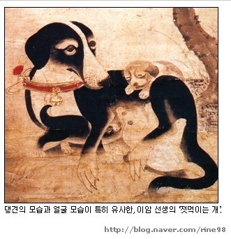 재수없게생겼다고 일본이 대량 학살한 우리나라 토종개 동경이(댕견) | 인스티즈