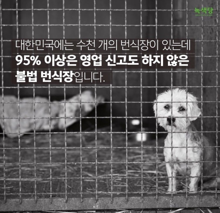 동물 학대하는 공장의 현실.jpg (불쌍함 주의) | 인스티즈