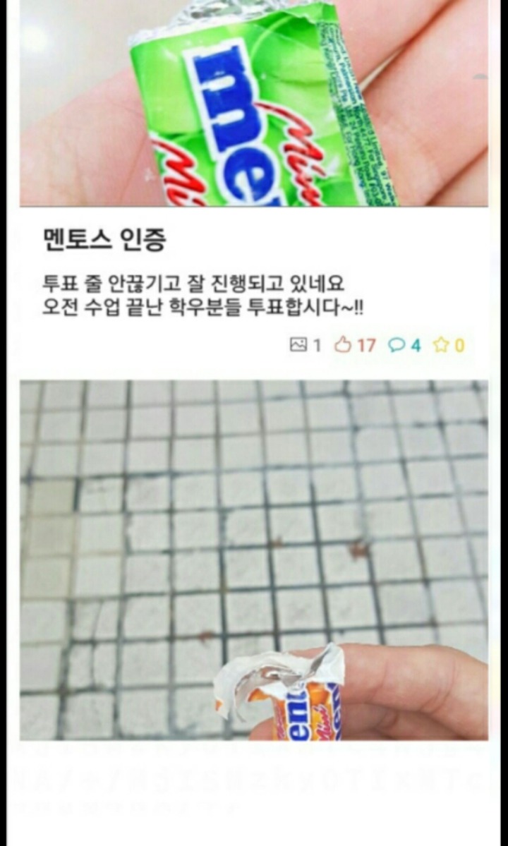 성균관대 총여학생회 폐지사건 정리(aka멘토스 혁명) | 인스티즈