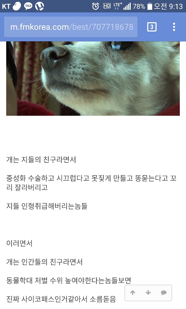 개는 인간의 친구라면서 개고기반대하는 사람들의 모순 | 인스티즈