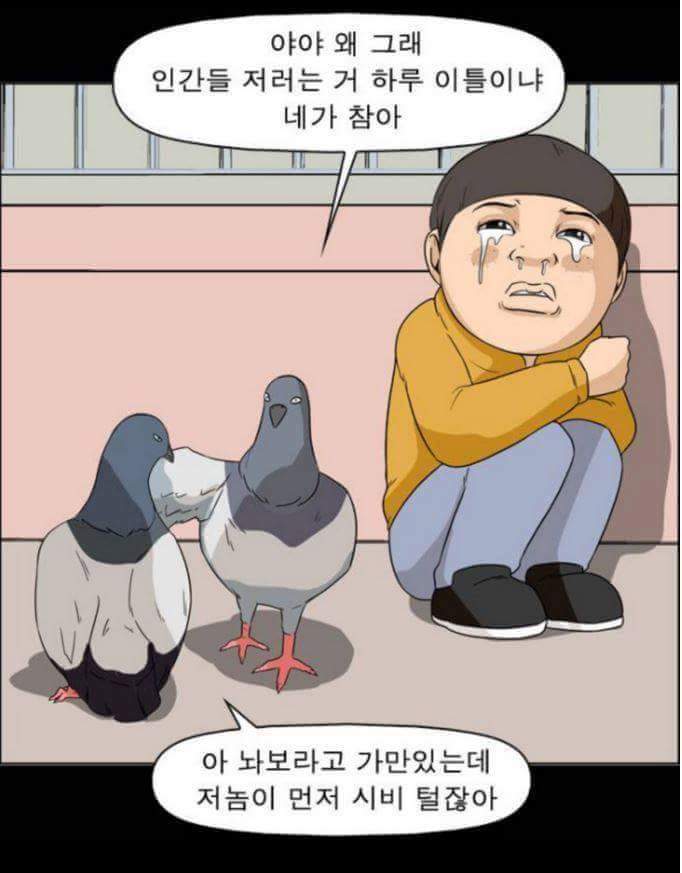동물들이 말을 할 수 있다면 일어나는 일 | 인스티즈