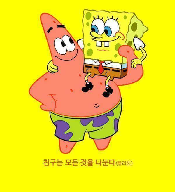 스폰지밥 과 뚱이의우정 | 인스티즈